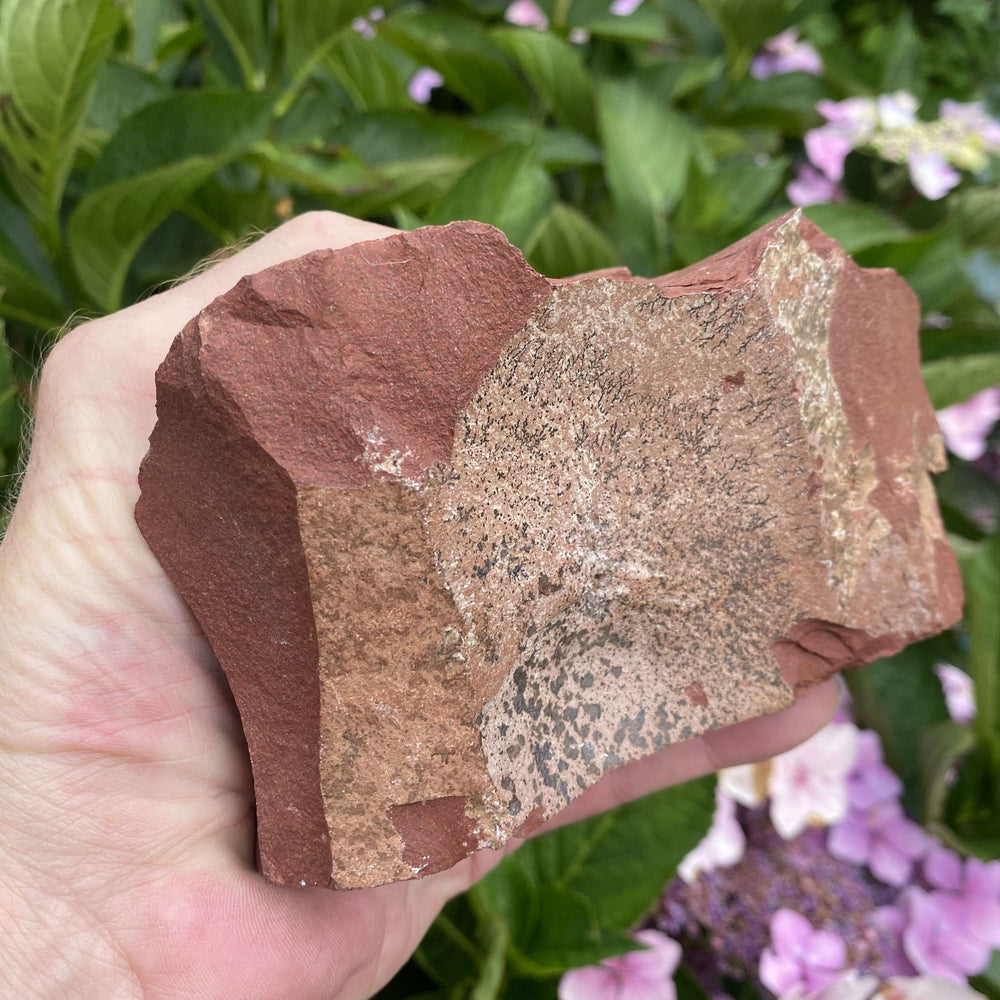 A handheld outdoor shot of the rough red jasper specimen stone turned to reveal a natural sand-textured brown matrix inclusion on its side. The earthy mineral block rests in a palm, illustrating its raw, unpolished authenticity and grounding energy.