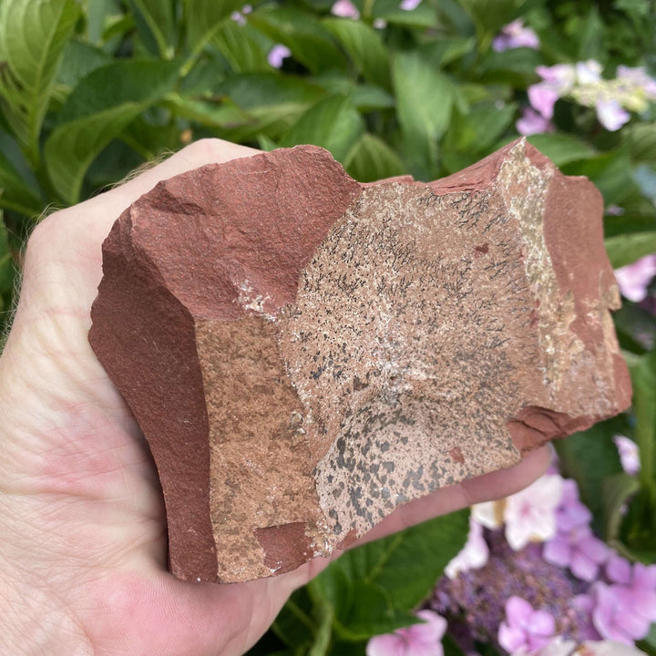 A handheld outdoor shot of the rough red jasper specimen stone turned to reveal a natural sand-textured brown matrix inclusion on its side. The earthy mineral block rests in a palm, illustrating its raw, unpolished authenticity and grounding energy.