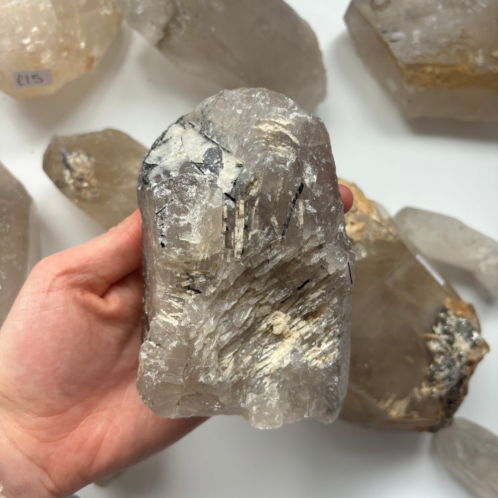 A close-up view of a hand presenting the large, rough tourmalinated quartz crystal chunk, highlighting its intricate geological surface fractures, white calcite traces, and stark black mineral inclusions that act as a protective shield for your workspace.
