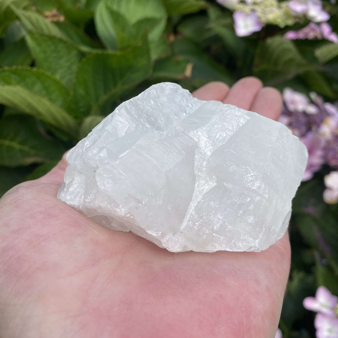 A side view of the rough White Quartz stone block resting in an open hand outdoors. This perspective highlights its flat geometric base, dense milky texturing, and substantial geological thickness under natural daylight.
