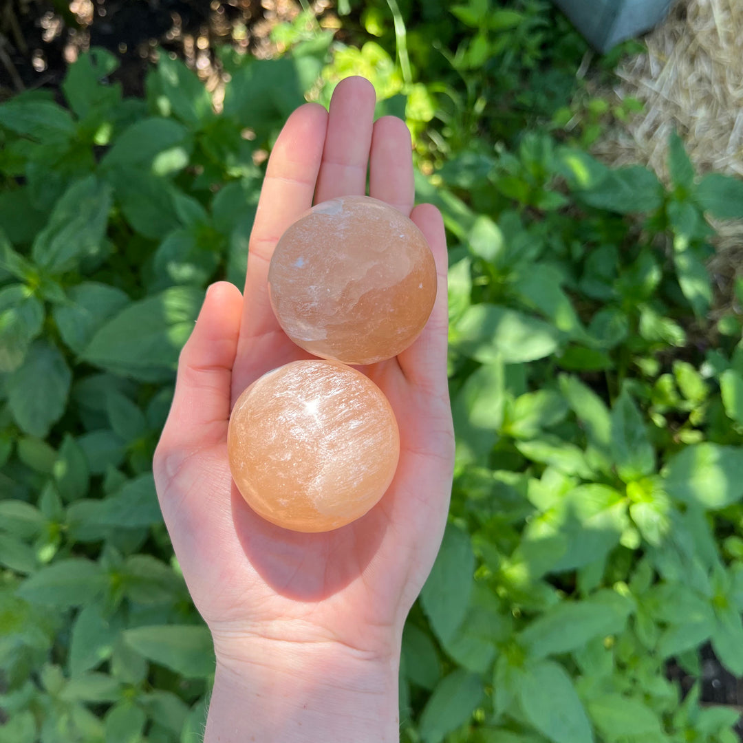 A vertical perspective view of two smooth Peach Selenite mineral spheres cradled in a palm outdoors, ideal for sacral chakra work, purification rituals, and clearing stagnant energy.