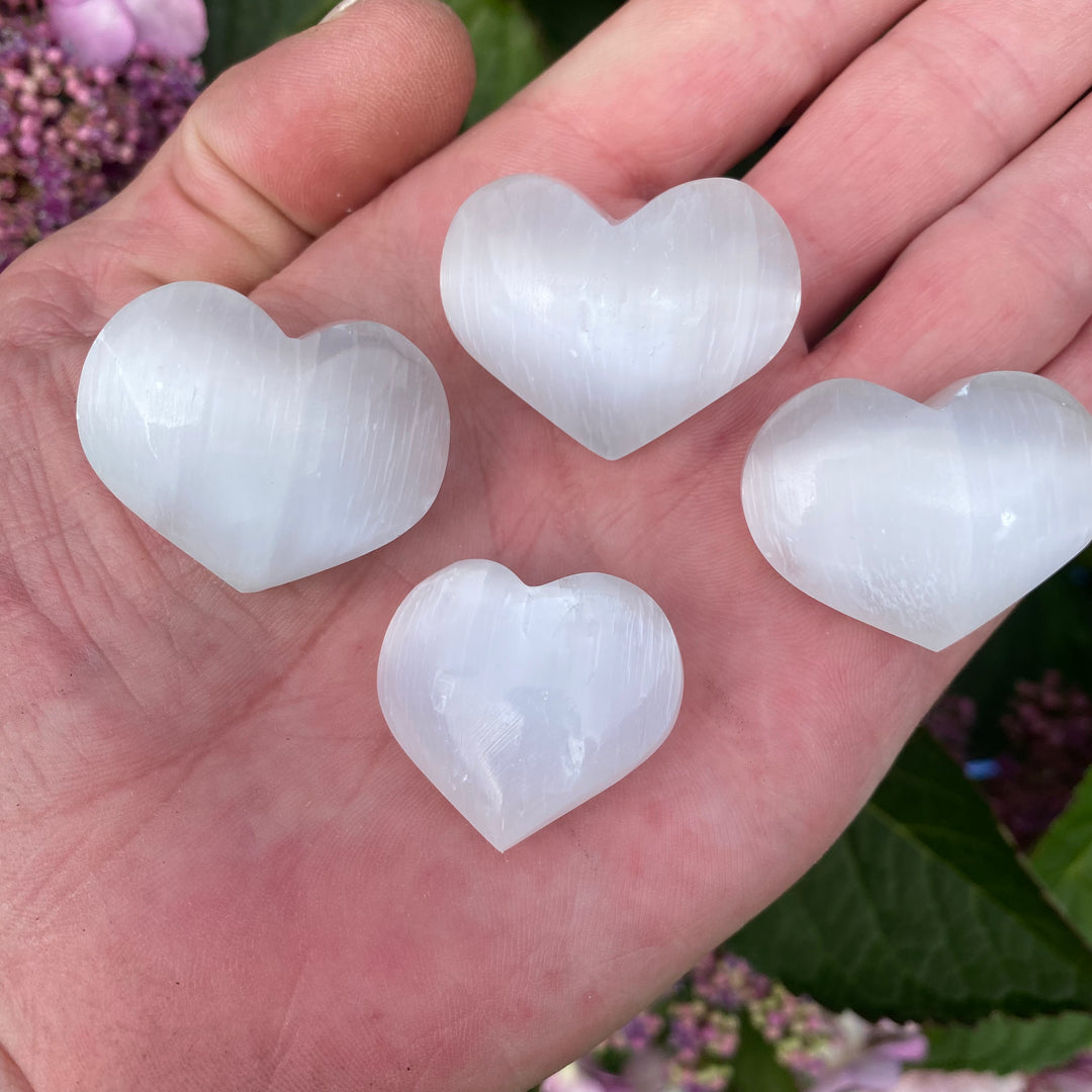 Four polished Selenite heart carvings resting in an open hand outdoors, showcasing their luminous pearlescent white colour and natural fibrous bands against a background of garden greenery.