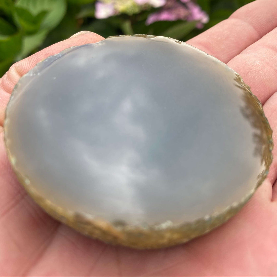 A close-up view of a small, round Grey Agate slice cradled comfortably in an open palm outdoors. The gemstone pocket treasure showcases a highly polished flat face with a glossy, semi-translucent surface and smoky grey colour tones against blurred garden greenery.
