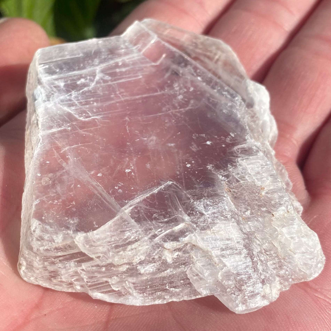 A small, flat Satin Spar crystal slab cradled in an open palm, showcasing its glassy clearness, smooth silky surface, and natural fibrous shimmer zones against green garden leaves.