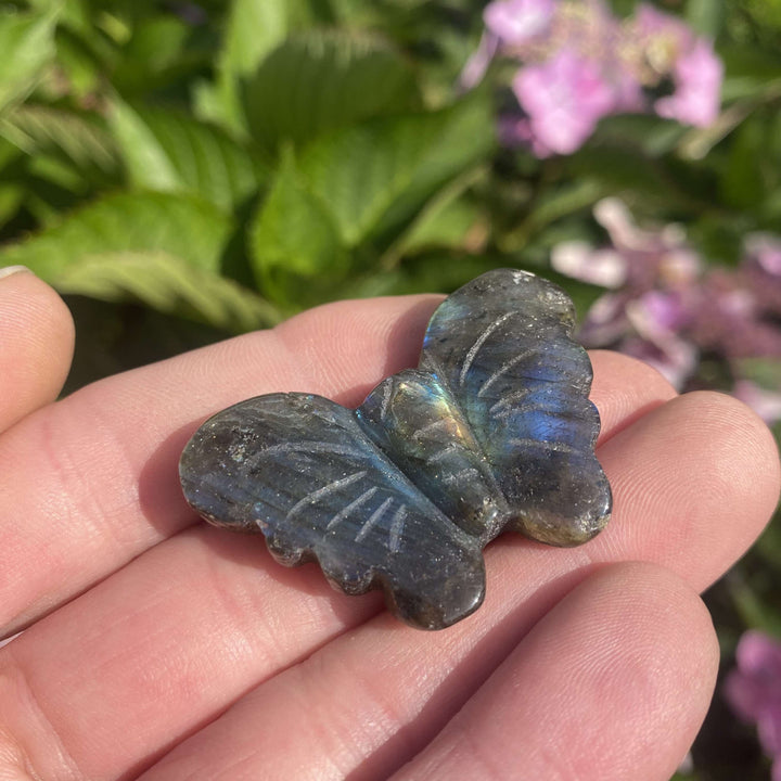 A high-angle view looking down at the smoky grey labradorite butterfly wings as the pocket treasure rests comfortably in a hand. The shot highlights the organic transitions between the raw mineral tones and the iridescent flash, perfect for styling a bedroom shelf or crystal tray.
