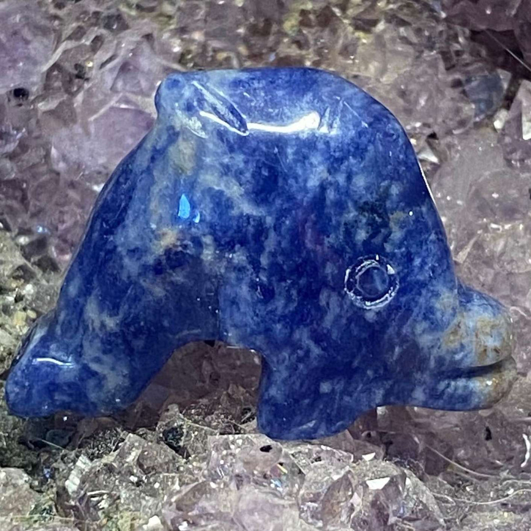 A close-up view of the small, polished Sodalite Dolphin Carving sitting upright. The marine gemstone animal figurine features rich royal blue textures, subtle white marbling patterns, and fine facial lines, resting beautifully on a bed of raw purple amethyst druzy points.