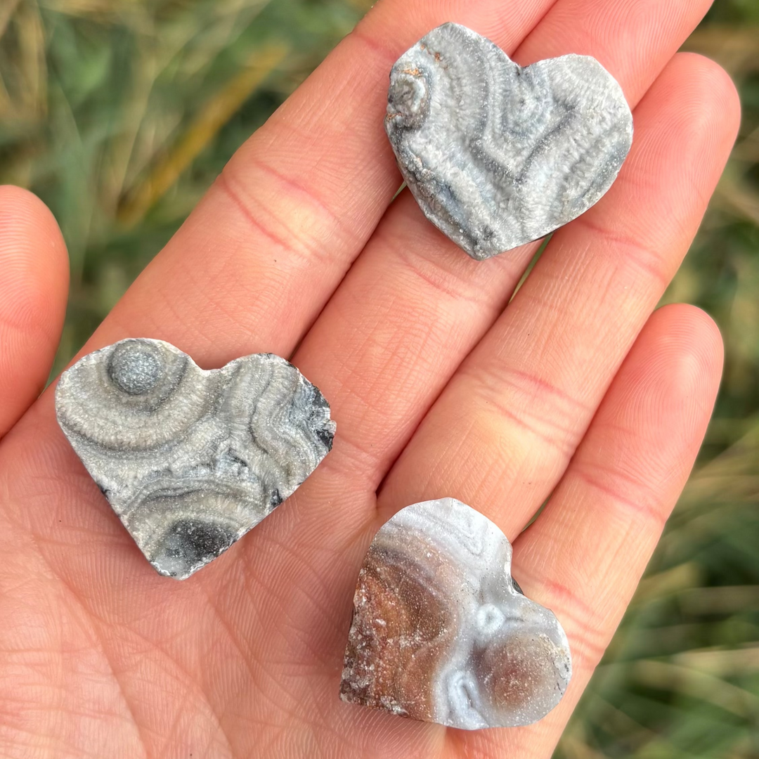 An open hand cradling three mini polished sphalerite love heart crystal fridge magnets outdoors, showcasing their smooth faces patterned with deep charcoal pockets, banded cream rings, and sparkling amber druzy geode inclusions against a soft grassy background.
