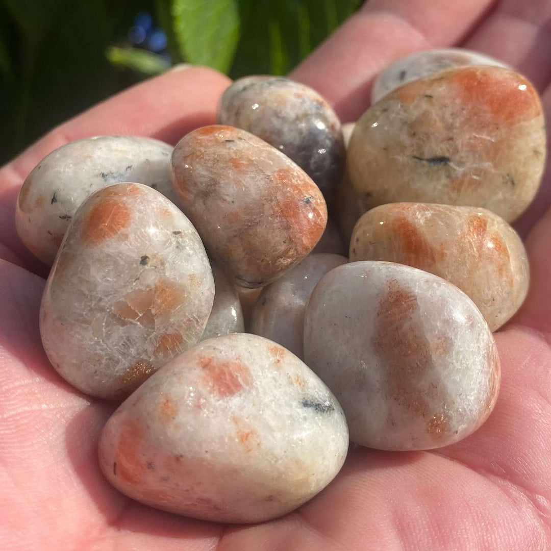A macro close-up view of a handful of polished Sunstone tumble stones cradled in an open palm outdoors. The glassy gemstones showcase cream-coloured base tones shot through with warm peach patches, earthy grey flecks, and soft golden-orange sparkles.
