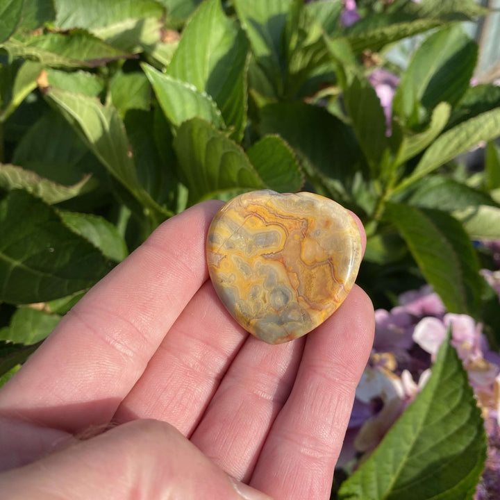 A straight-on shot looking down at the swirling agate heart worry stone resting securely in a palm. The intricate geological layers are beautifully displayed against garden foliage, illustrating an authentic masterpiece grown by nature to boost personal joy and anchor root chakra stability.
