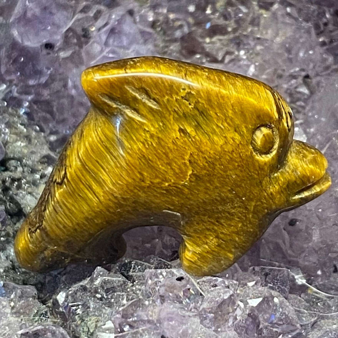 A close-up view of the small, polished Tiger Eye Dolphin Carving. The golden-yellow gemstone animal figurine showcases silken chatoyancy ribbons and rich honey bands, resting gracefully on a textured bed of raw purple amethyst druzy points.