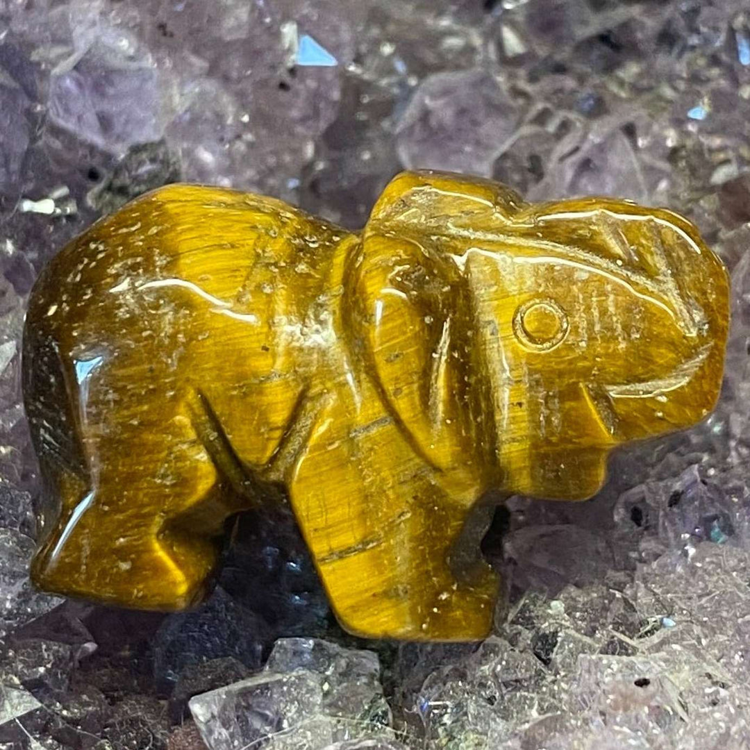 A close-up view of a hand-carved tiger eye elephant crystal, showing its smooth, polished texture and shimmering golden-brown bands. The 3cm miniature animal companion rests on a texturised bed of deep purple amethyst druzy, highlighting its solar plexus chakra focus for stability and confidence.