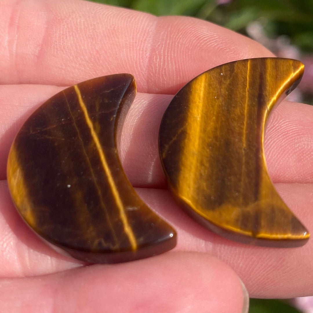 A close-up view of an open hand cradling two polished tiger eye moon carvings, showcasing their smooth surface and crescent silhouette. The stones display natural bands of golden light, chatoyant stripes, and rich, deep honeyed tones that glimmer in the outdoor sunlight.