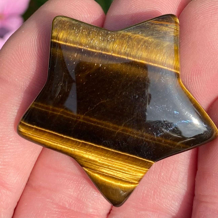 A macro close-up view of a polished star-shaped tiger eye crystal carving resting in an open hand. The celestial gemstone showcases brilliant bands of chatoyant golden-yellow light alternating with rich, dark chocolate brown stripes across its glossy surface.