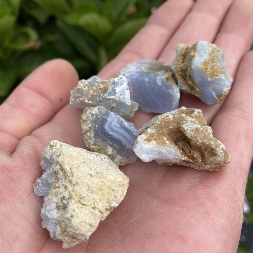 A handful of five rough, unpolished blue lace agate stones showcased outdoors, demonstrating the organic crystalline structures and contrasting host rock matrix.
