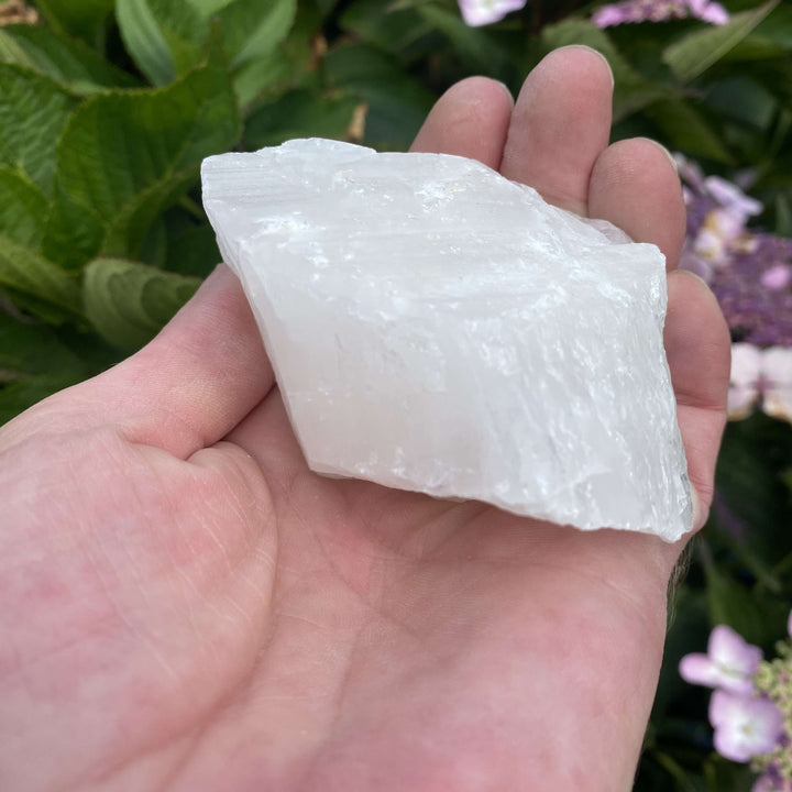 A hand holding a large, rough white crystal specimen horizontally outdoors. The layout displays its frosty crystalline peaks, sharp mineral facets, and unpolished edges against a softly blurred garden background of pink hydrangeas.