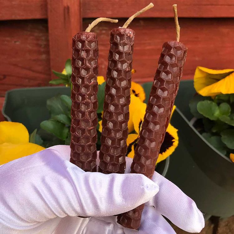 Three brown honeycomb beeswax spell candles held in a white gloved hand outdoors for earth magic.