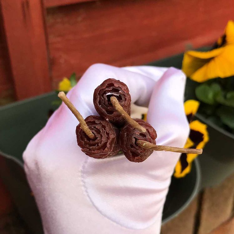 A white gloved hand holding a trio of brown beeswax ritual candles from above to show the linen wicks.