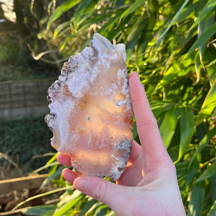 A polished agate slab held in a person's hand, with a blurred background of greenery.