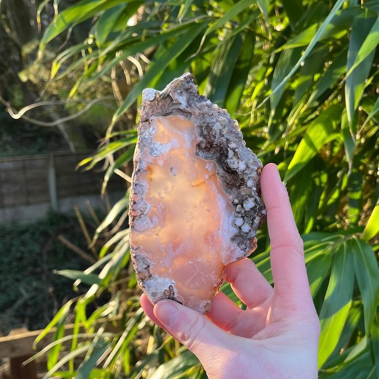 A polished agate slab held in a person's hand, with a blurred background of greenery.