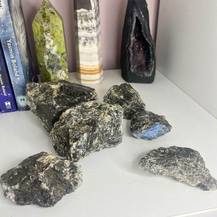 A collection of large raw labradorite crystals with varying shades of black and gray, displayed on a shelf with various decorative items in the background.