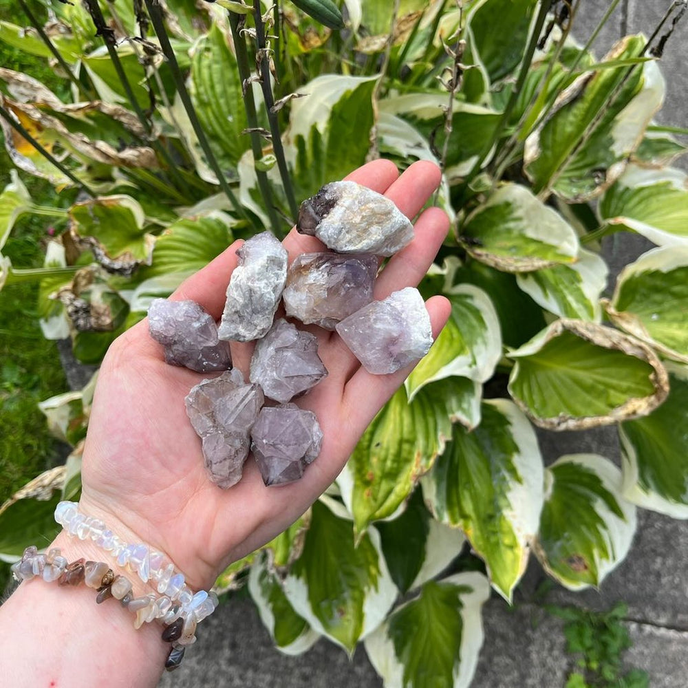 A person holding a collection of small, polished spirit quartz crystal clusters.