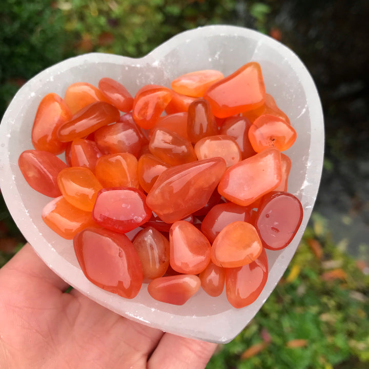 A hand holding a translucent white Selenite heart bowl filled to the brim with small, polished mini Carnelian tumble stones, displaying their vibrant fiery orange and deep red sunset colours against a garden background.