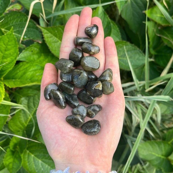 Mini Labradorite Tumbled Stone | Magic &amp; Change