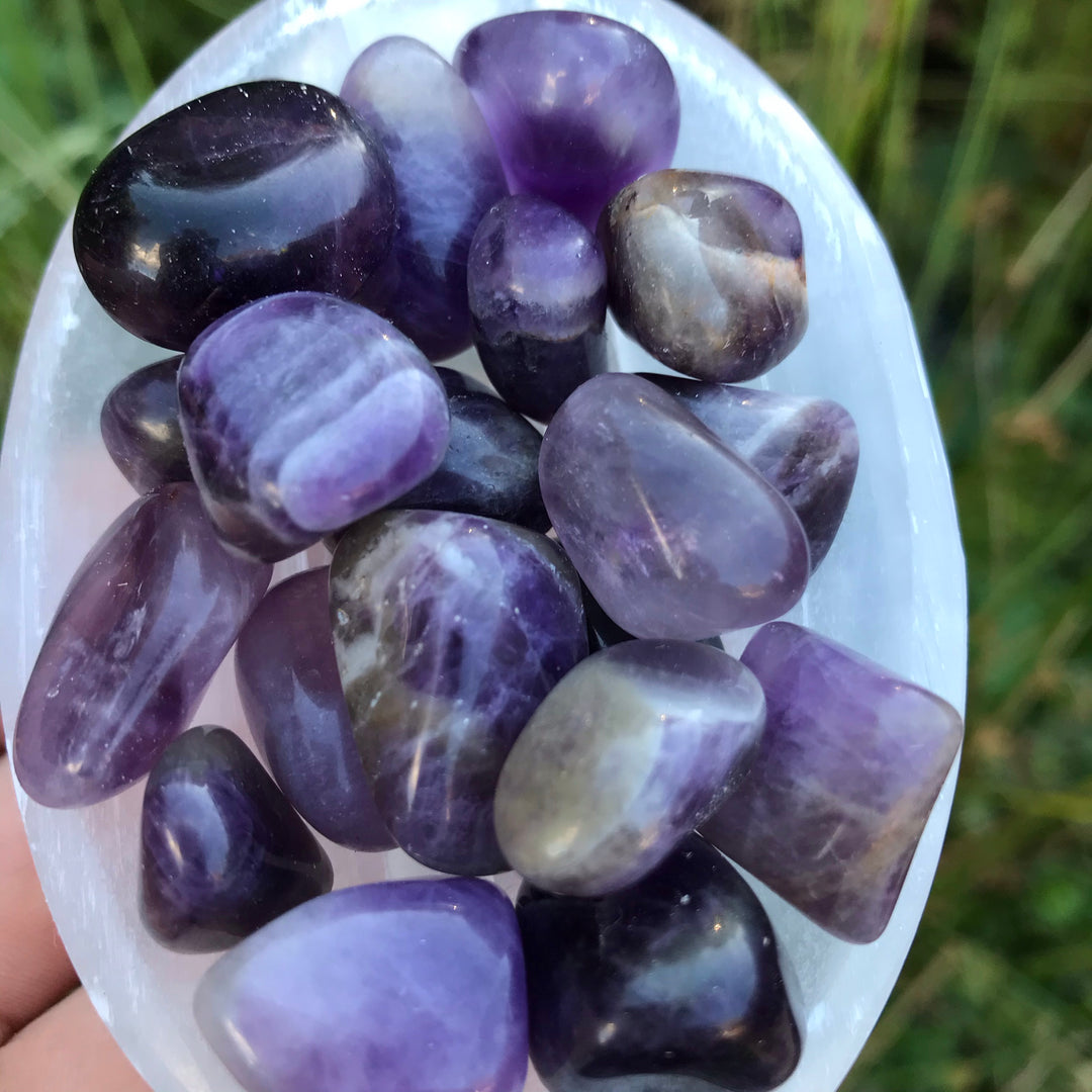 A bowl of Mini Mixed Dark Amethyst Chevron Tumble in a bright sunny garden