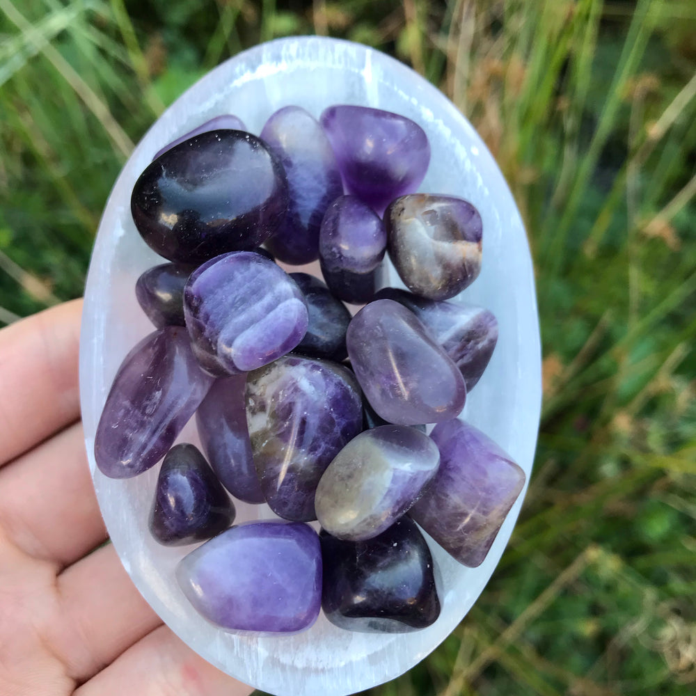 A collection of purple amethyst crystals held in a hand, with varying shapes and colors.