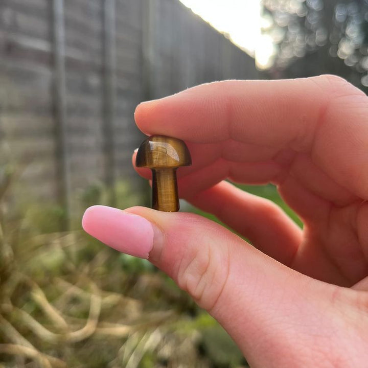 A Mini Tiger Eye Crystal Mushrooms held between a finger and thumb in a bright outdoor setting.