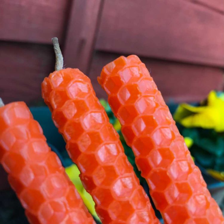 Close-up showing the textured honeycomb pattern of orange rolled beeswax candles against a garden fence.