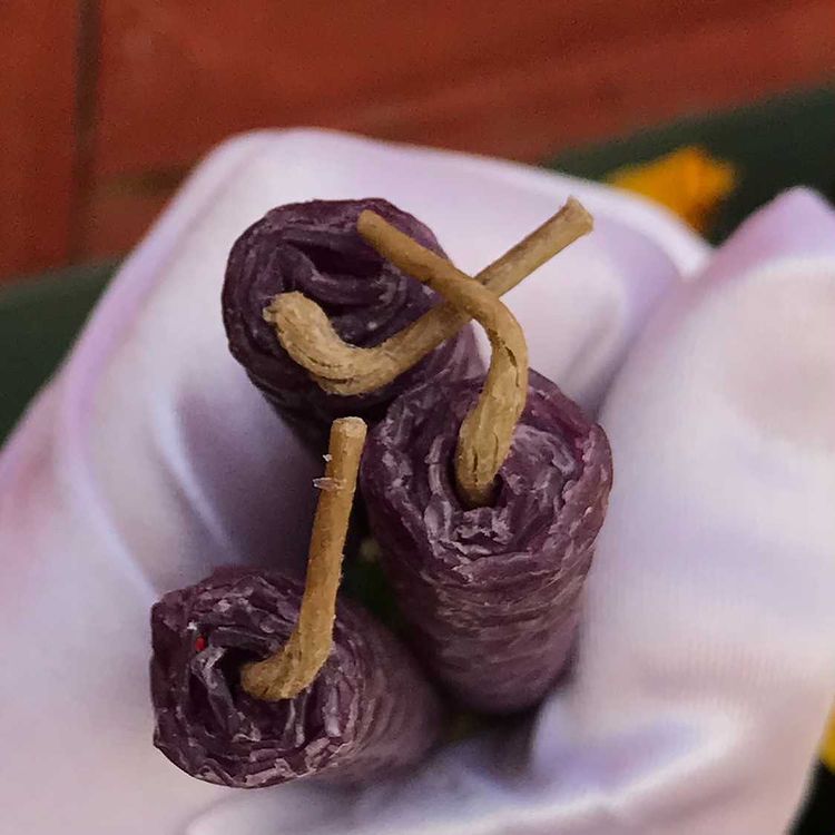 A white gloved hand holding a trio of dark purple beeswax ritual candles from above to show the linen wicks.