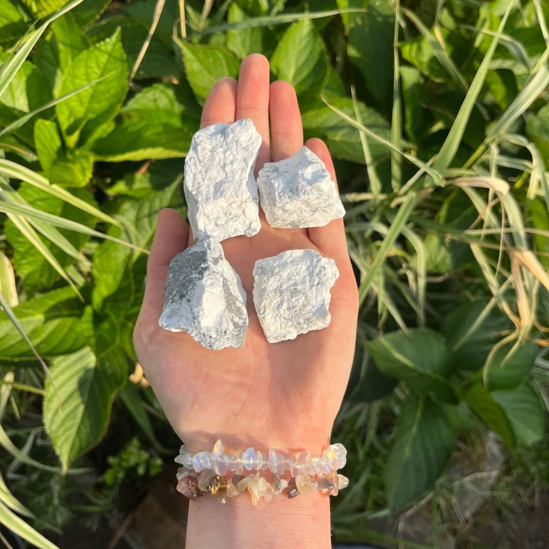 Four pieces of rough howlite crystals held in a hand with a green plant background.