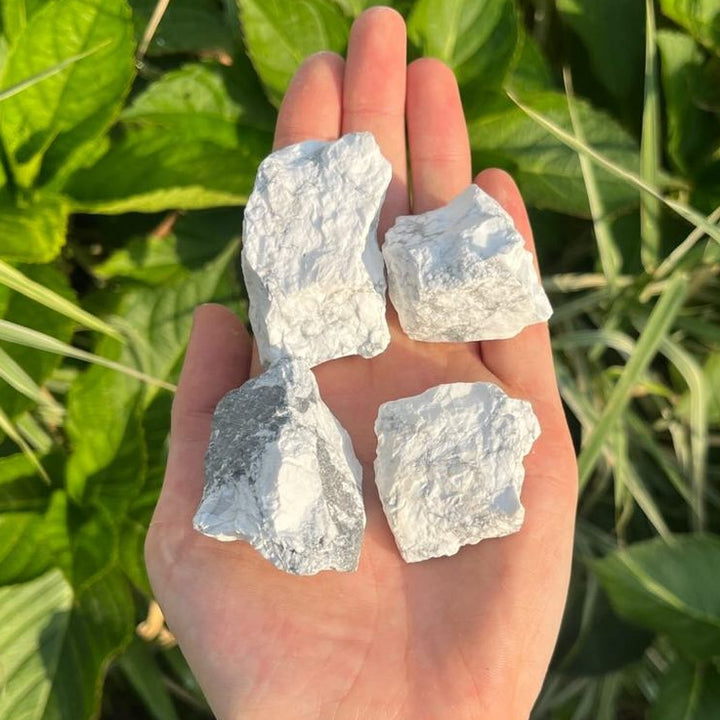 Four pieces of rough howlite crystals held in a hand with a green plant background in a bright sunny garden.
