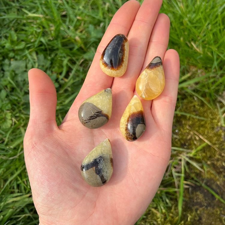 A hand holding several Septarian Jasper tear drop shaped stones with a background of grass.