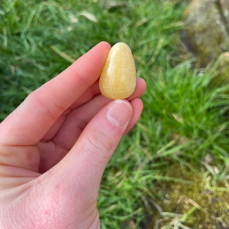 A hand holding a Septarian Jasper tear drop shaped stones with a background of grass.