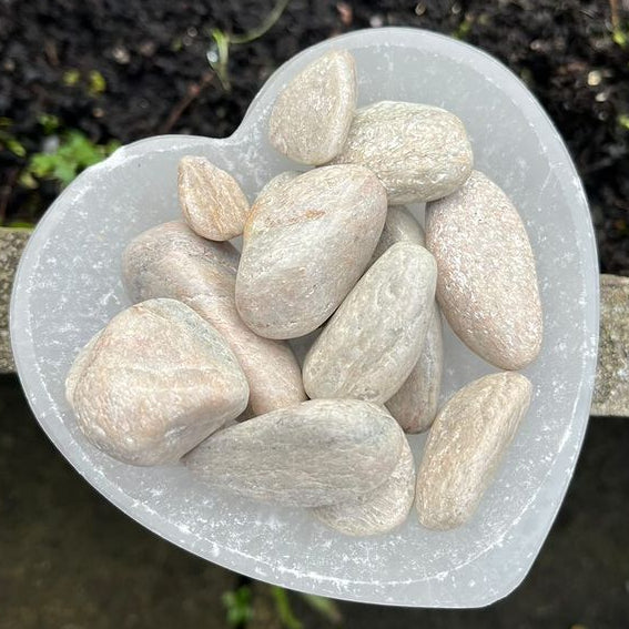 Small White Aventurine Tumble Stone in a heart shaped bowl in a sunny garden