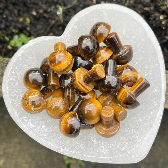 A pile of Mini Tiger Eye Crystal Mushrooms in a white selenite bowl in a sunlit garden