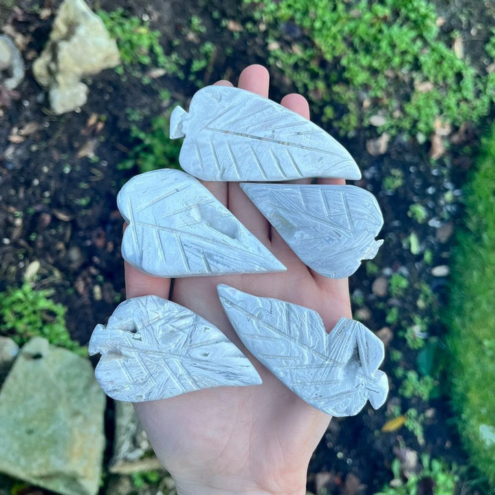 White Crazy Lace Agate Leaves