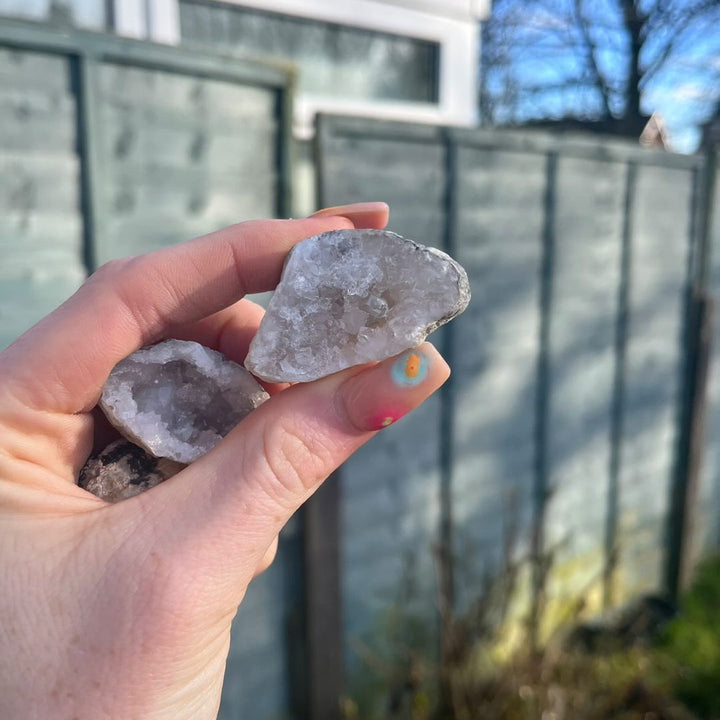 A close-up view of a hand holding two halves of a freshly cracked open white quartz geode against a grey wooden garden fence, showcasing the glittering inner cavern lined with pure, sparkling crystalline structures for Crown Chakra alignment.
