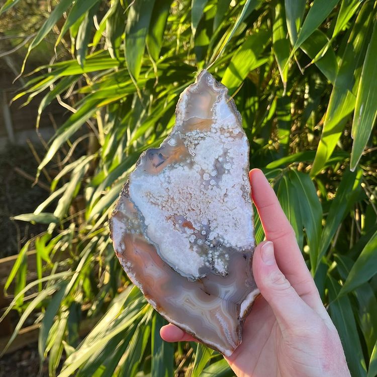 A close-up view from a side profile angle of a hand holding the substantial 430-gram Flower Agate crystal section under bright daylight. The shot clearly displays its unique unpolished outer mineral rind and natural geological stone layers, ideal for grounding a sanctuary space.