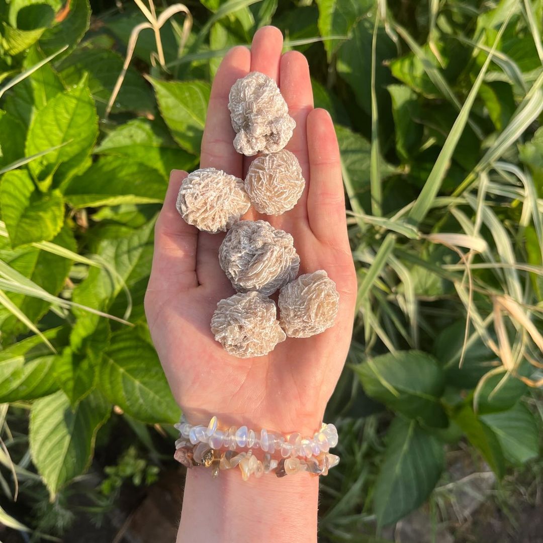 An open hand holding five natural frosted sandrose raw clusters outdoors against a rich background of green garden leaves, demonstrating the scale of these earthy desert treasures that bring deep emotional calm, quieten a noisy mind, and help align the Crown Chakra.