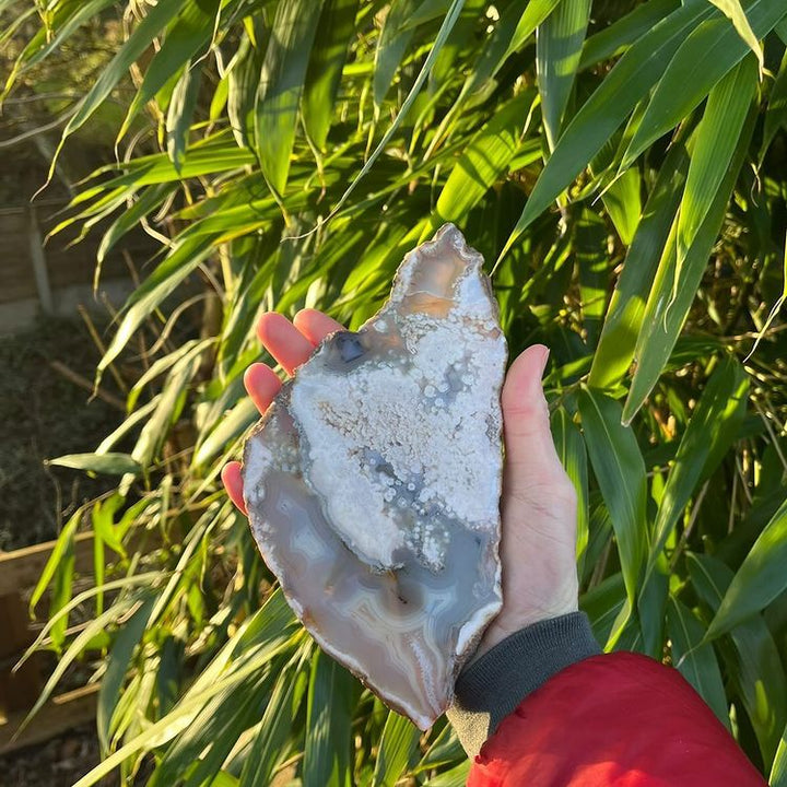 A hand holding a large, polished Flower Agate crystal slab upright outdoors against a backdrop of green bamboo leaves. The substantial statement piece showcases a smooth face woven with cream and apricot blossom-like chalcedony patterns, perfect for heart chakra alignment and purpose.