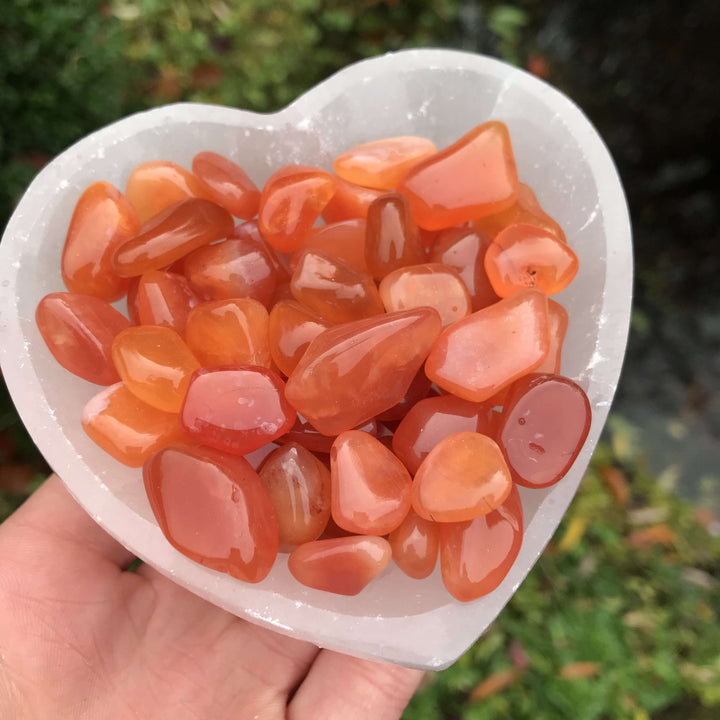 A close-up view looking down at a large collection of mini Carnelian tumble stones filling a translucent, white heart-shaped selenite bowl. The polished pocket crystals display vibrant fiery orange and deep red sunset tones, held in a hand outdoors against a softly blurred green garden background to inspire a creative Sacral chakra routine.