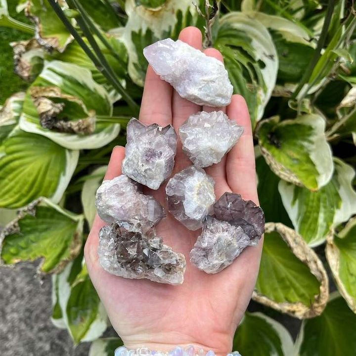 An open palm cradling a group of mini raw Spirit Quartz clusters outdoors. The prickly, crusty specimens showcase tiny lilac, cream, and faint amethyst points layered over a bumpy mineral structure, shot against a background of green garden hosta leaves to invite Crown Chakra clarity and spiritual growth.