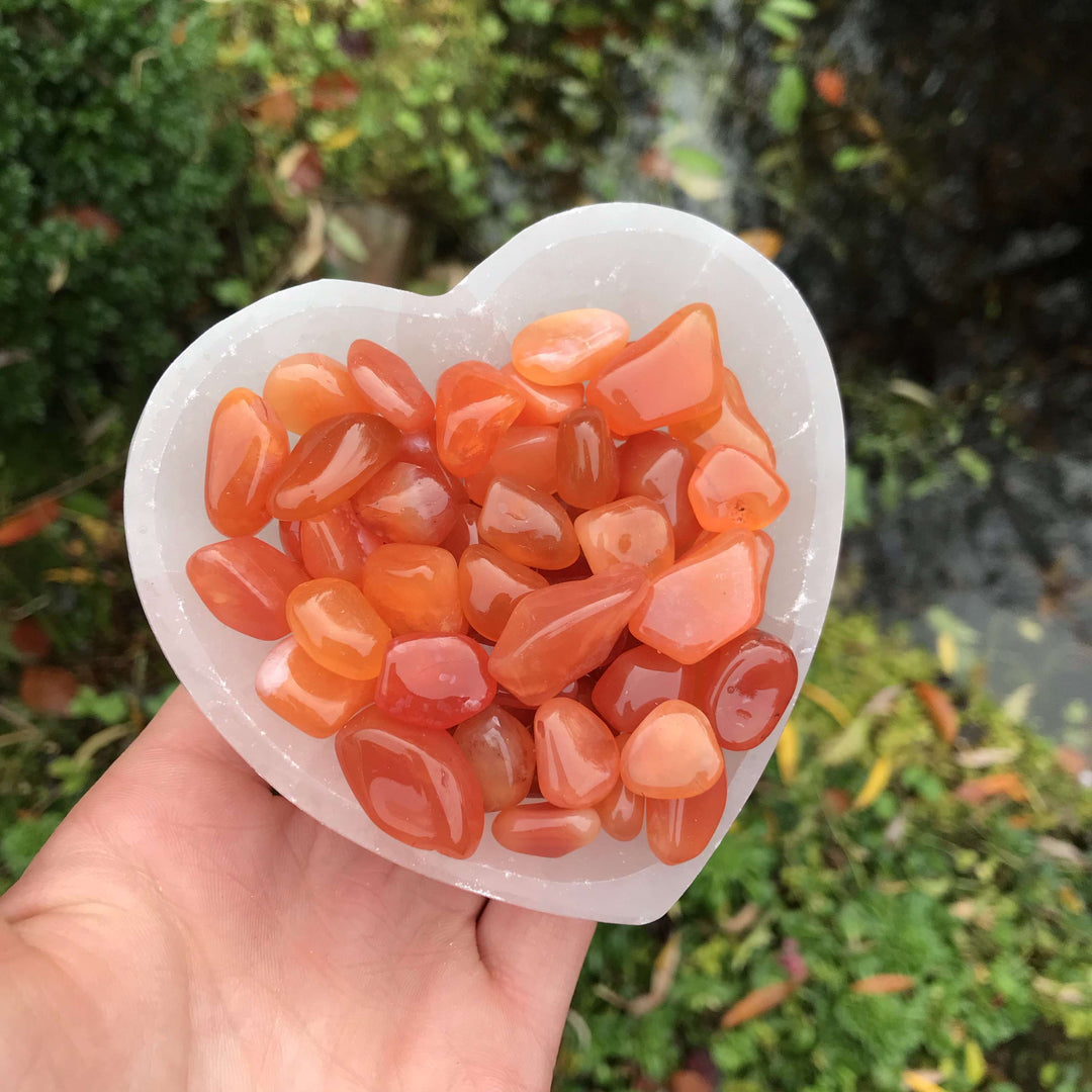 An outdoor shot from a distance showing a hand gently cradling a heart-shaped crystalline dish packed to the brim with tiny, glossy orange Carnelian stones. The natural daylight highlights the smooth, one-centimetre scale of these tumbled specimens, showcasing them as an inspiring workspace or desk companion.