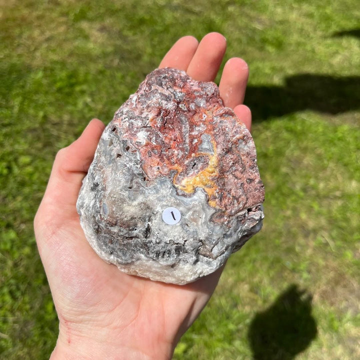 A hand presenting a unique raw crazy lace agate mineral specimen at an angle outdoors, illustrating its substantial weight, intricate geological layers, and sun-drenched texture to help clear away complex worries and inner doubts.