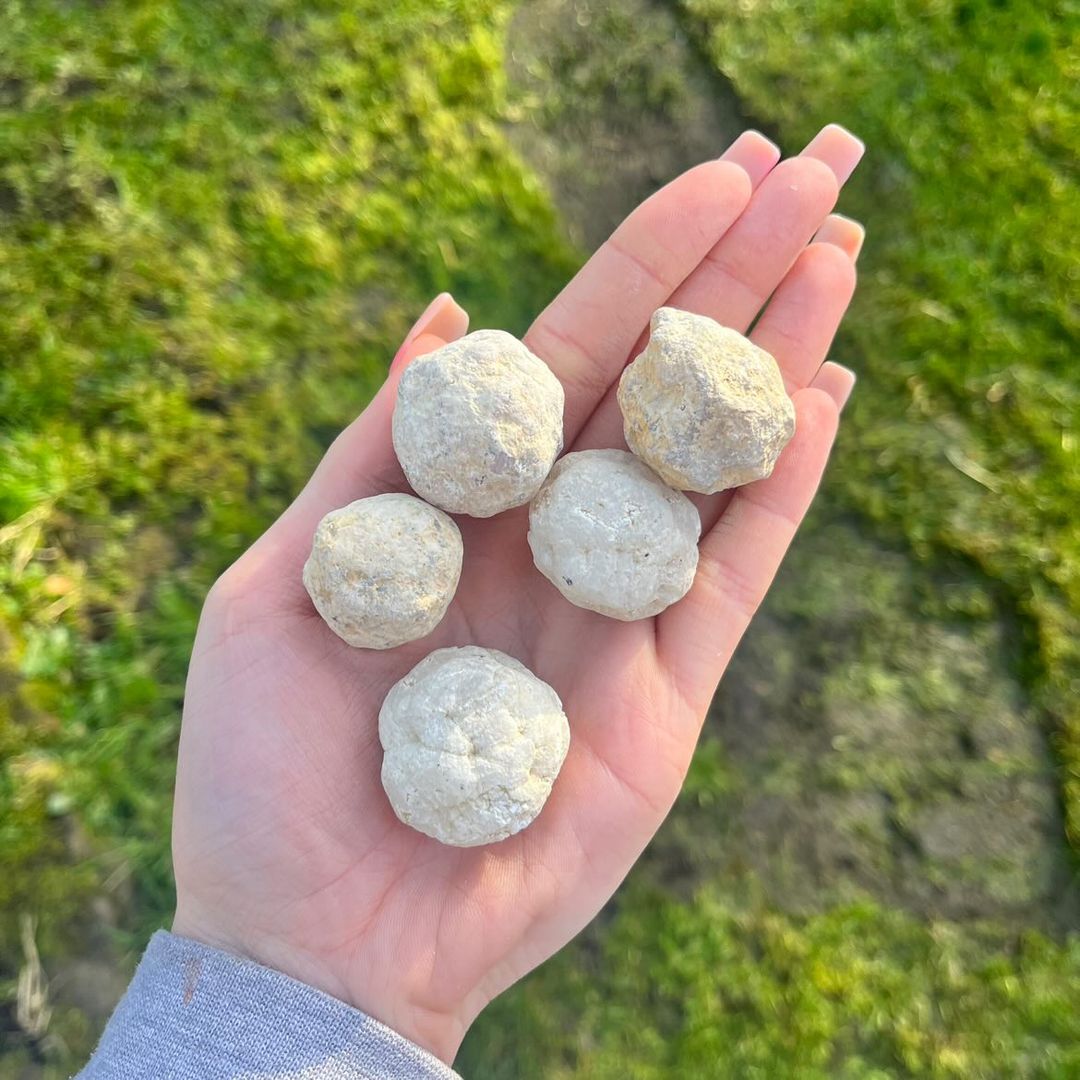 A hand with long pink nails holding five mini unbroken white quartz geodes outdoors, showcasing their rough, chalky, and rounded sand-coloured exteriors against a bright green garden lawn to illustrate sizing scale.