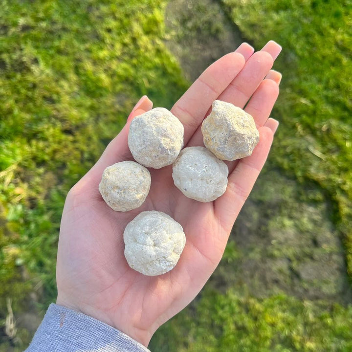 A hand with long pink nails holding five mini unbroken white quartz geodes outdoors, showcasing their rough, chalky, and rounded sand-coloured exteriors against a bright green garden lawn to illustrate sizing scale.