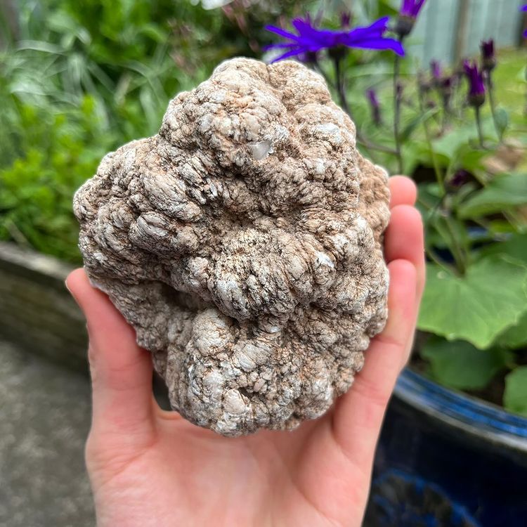 A hand cradling the substantial 530g rough agate geode nodule outdoors to reveal its completely raw, bumpy wild exterior, demonstrating the natural stone's size, texture, and earthy shape relative to a palm.